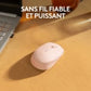 Logitech M171 Sans Fil – Rose
