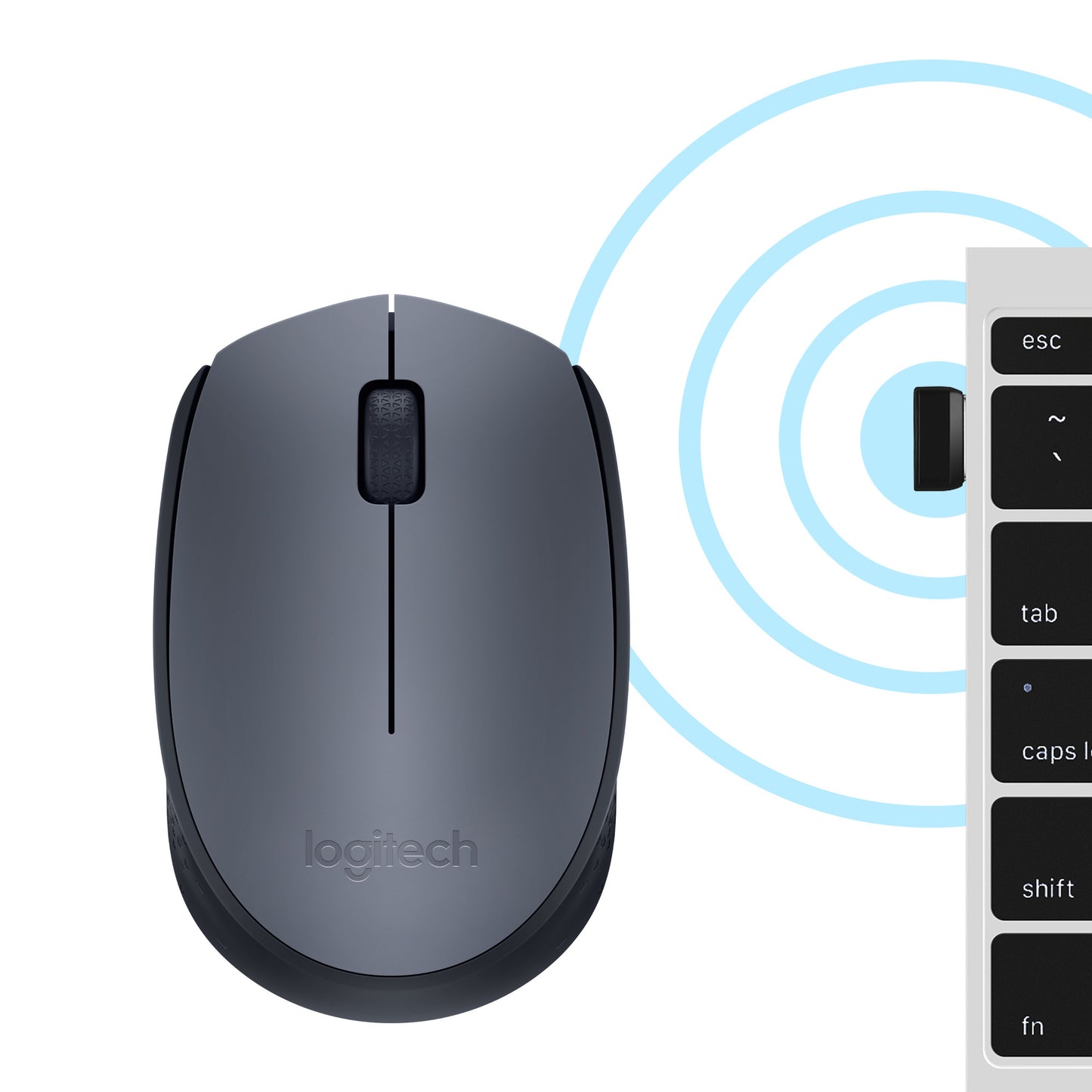 Souris sans fil Logitech M170 - USB